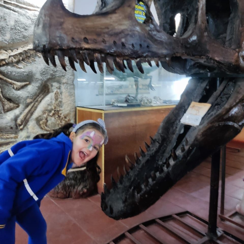 Museo de los dinosaurios